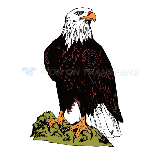 Birds Iron-on Stickers (Heat Transfers)NO.2163